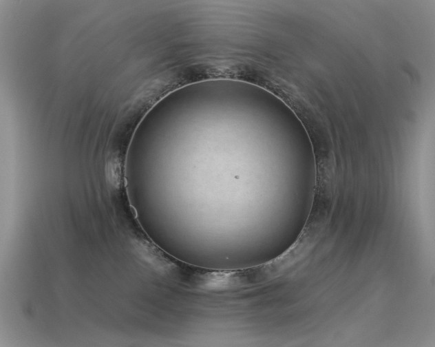 X0000113540090200909181206