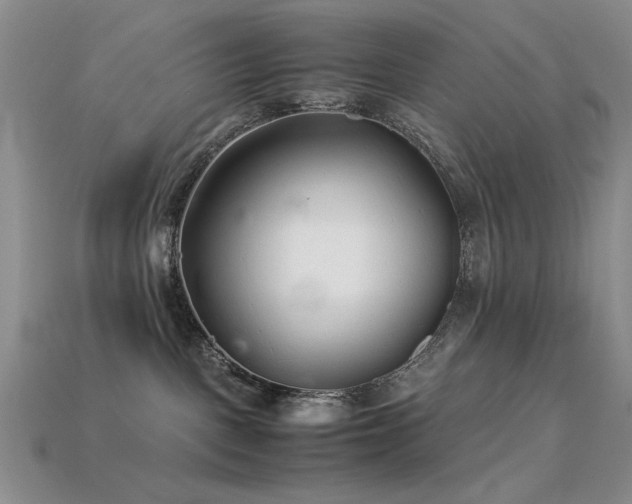 X0000113540093200909181206