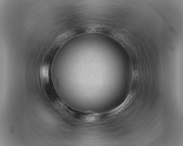 X0000113540094200909181206