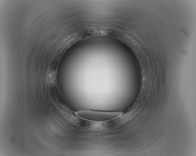X0000113540096200909181207