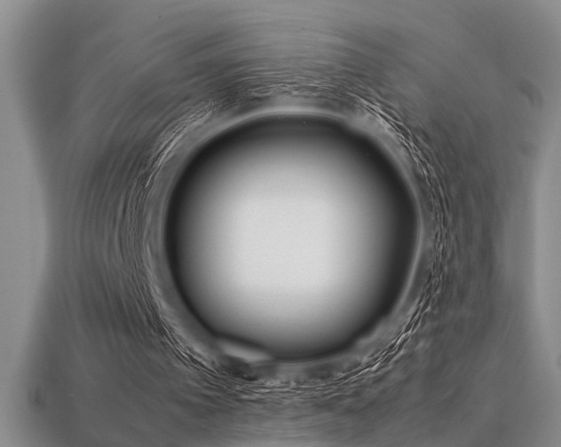 X0000113540097200909181206