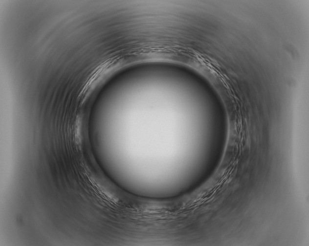 X0000113540098200909181206