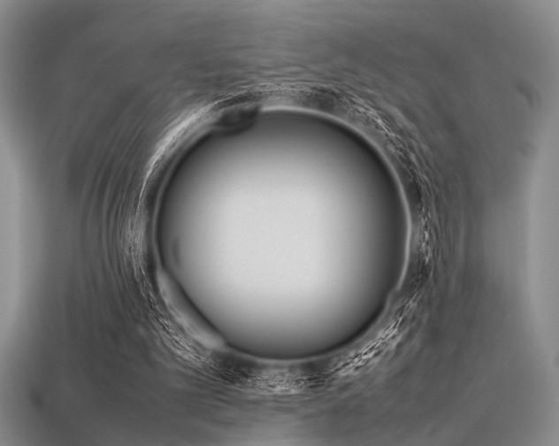 X0000113540101200909181206