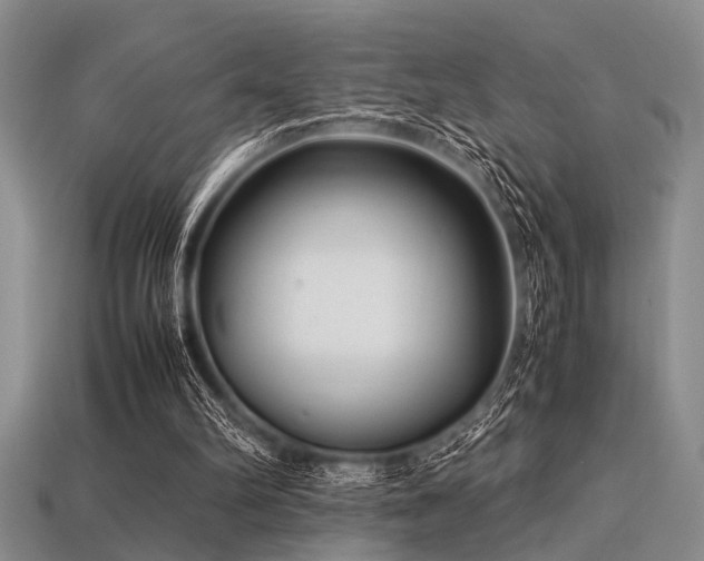 X0000113540102200909181206