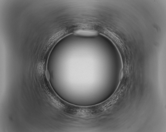 X0000113540105200909181206