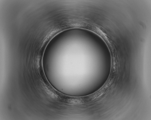 X0000113540106200909181206