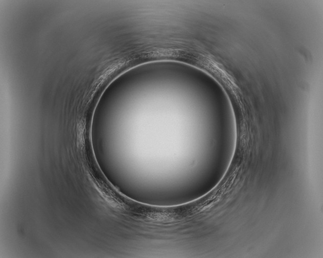 X0000113540107200909181206