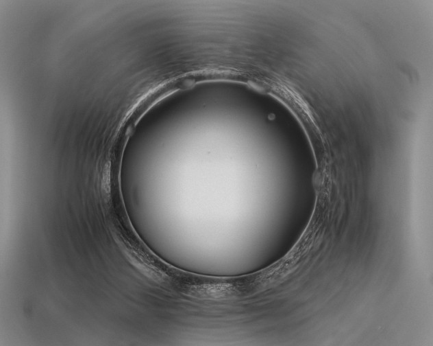 X0000113540108200909181206