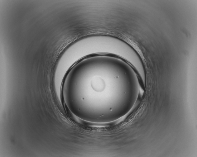 X0000113540109200909181206