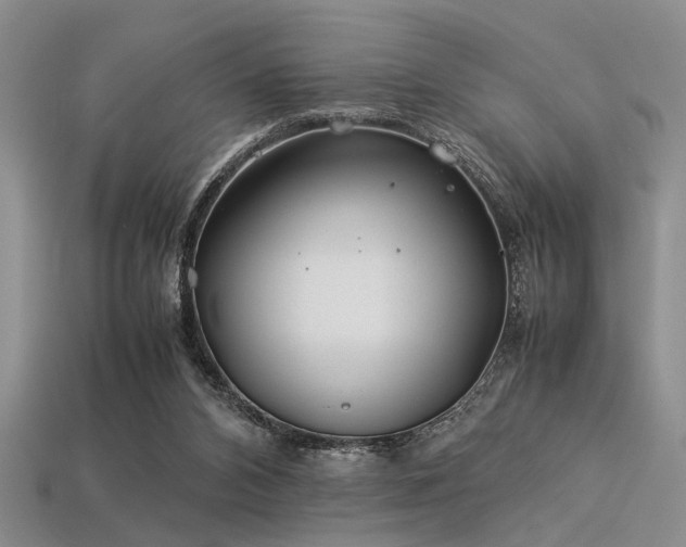 X0000113540112200909181206