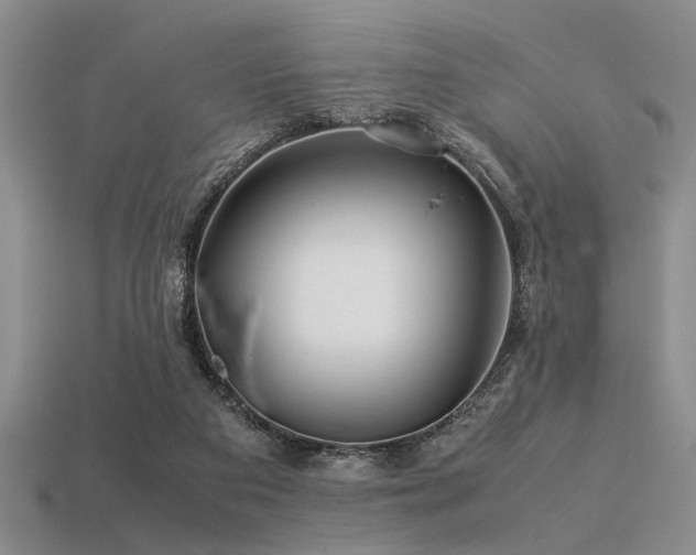 X0000113540113200909181206