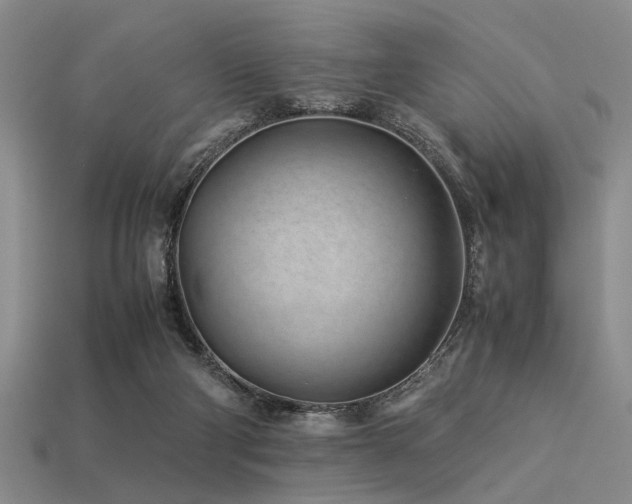 X0000113540114200909181206