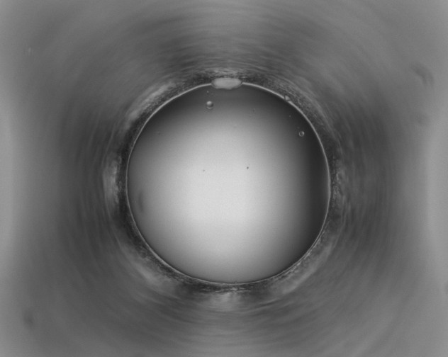 X0000113540116200909181205