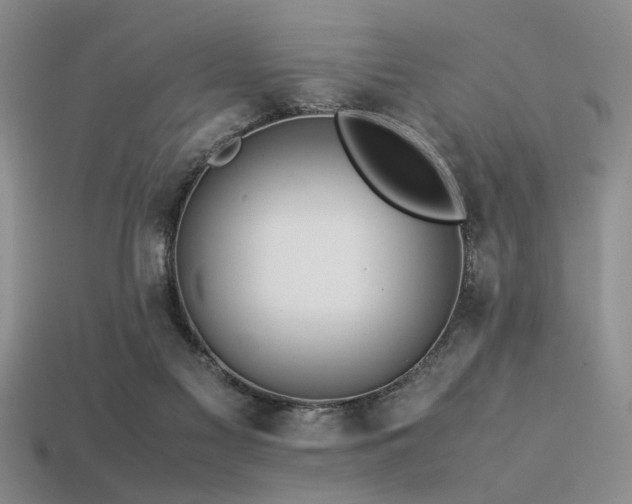 X0000113540117200909181205