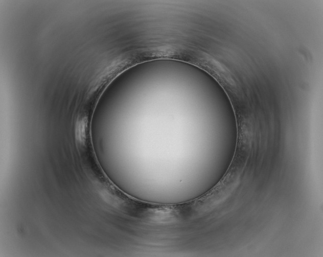 X0000113540118200909181205
