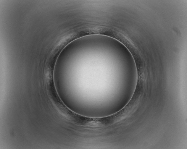 X0000113540119200909181205