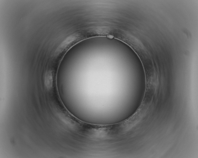 X0000113540120200909181205