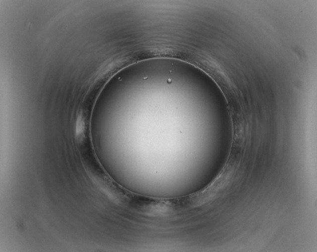 X0000113540124200909181205