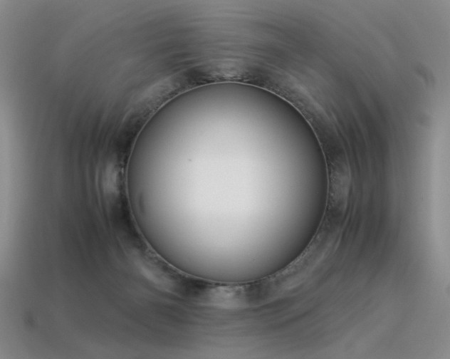 X0000113540126200909181205