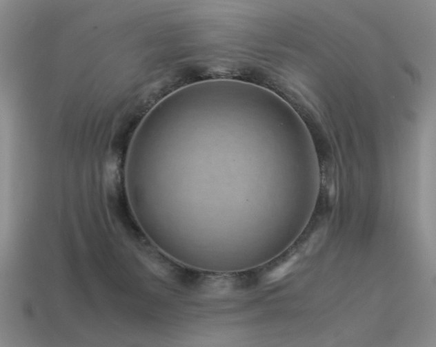 X0000113540127200909181205