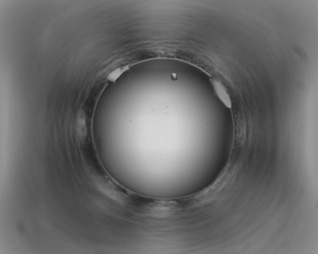 X0000113540128200909181205