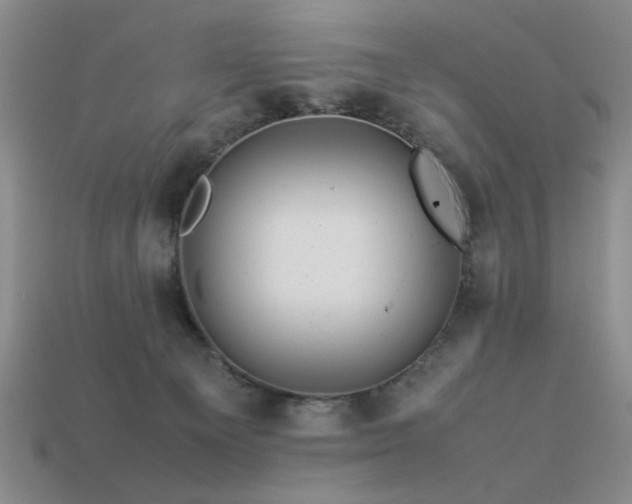 X0000113540129200909181205