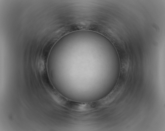 X0000113540130200909181205