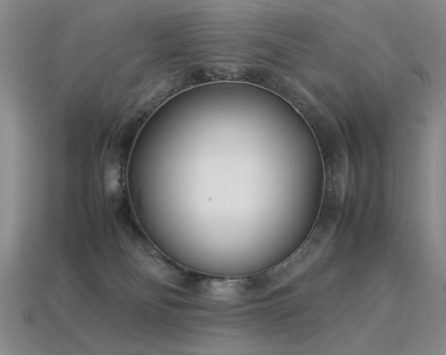 X0000113540134200909181205