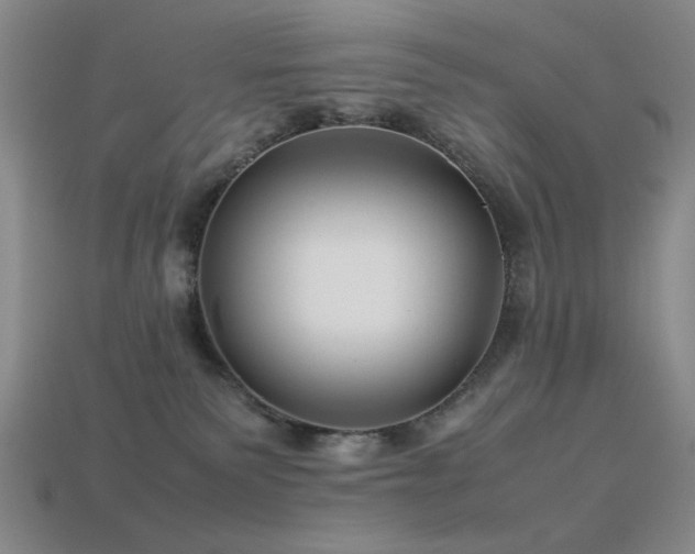 X0000113540135200909181205