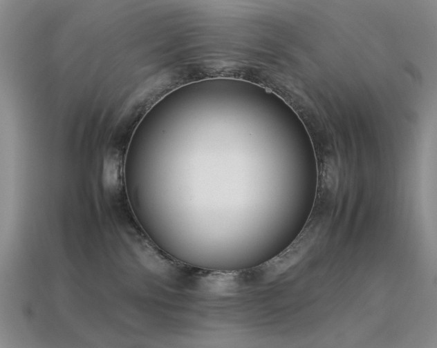 X0000113540138200909181205