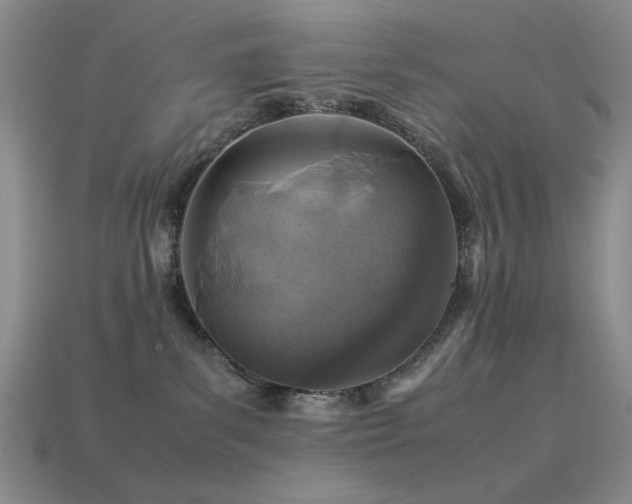 X0000113540139200909181205