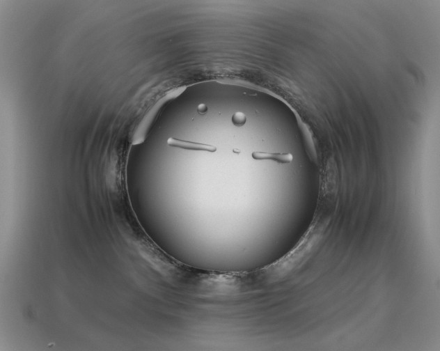 X0000113540140200909181205