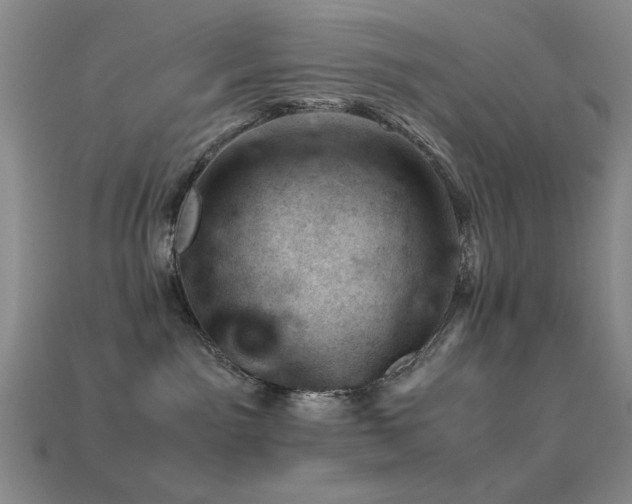 X0000113540141200909181205