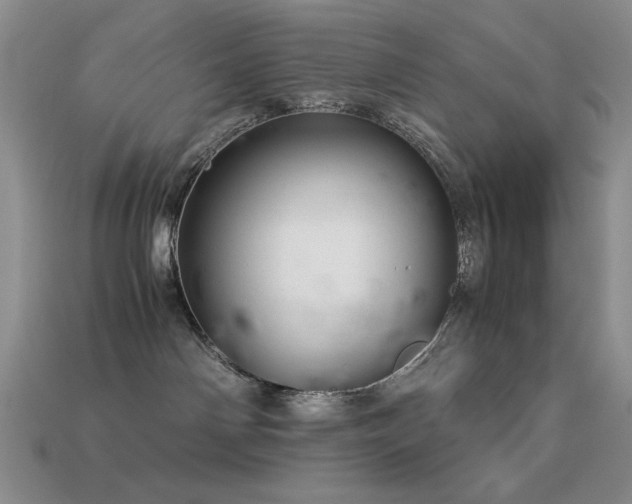 X0000113540142200909181205