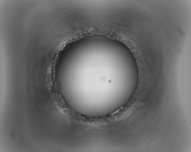 X0000113540144200909181205
