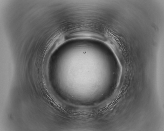 X0000113540145200909181205