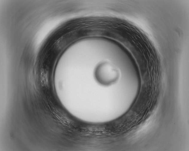 X0000113540146200909181205