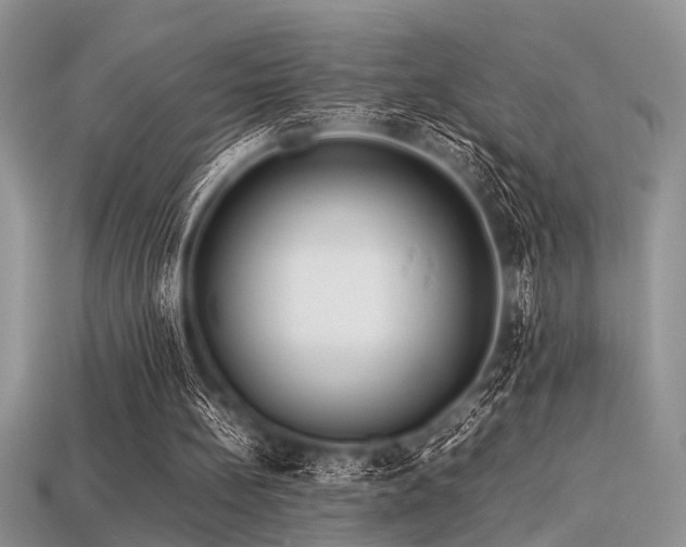 X0000113540148200909181205