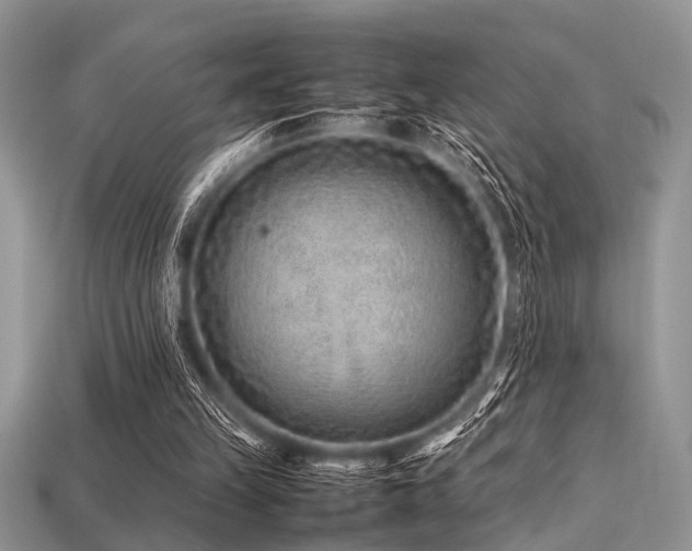 X0000113540149200909181205