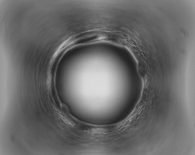 X0000113540150200909181205