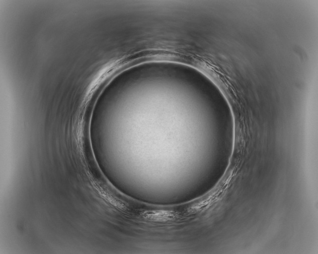 X0000113540151200909181205