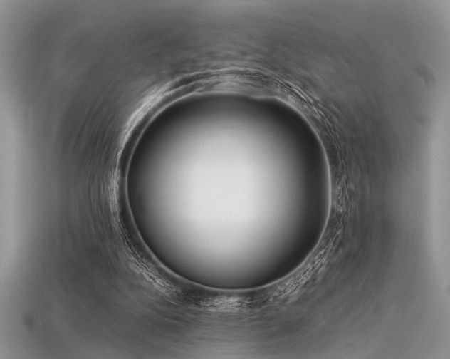 X0000113540152200909181205