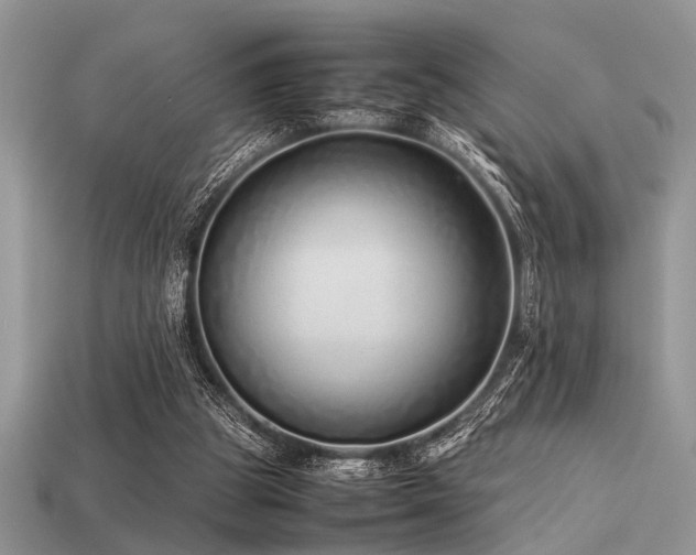 X0000113540153200909181205