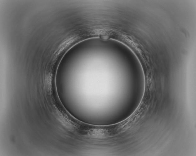 X0000113540154200909181205
