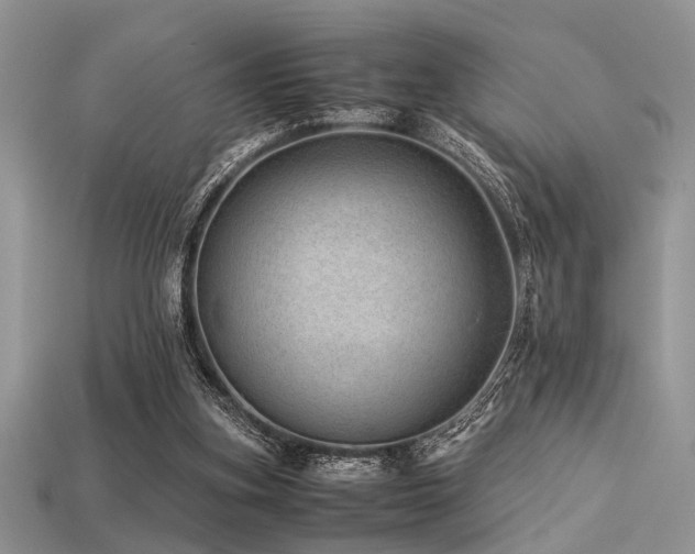 X0000113540155200909181205