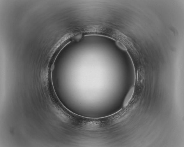 X0000113540156200909181205