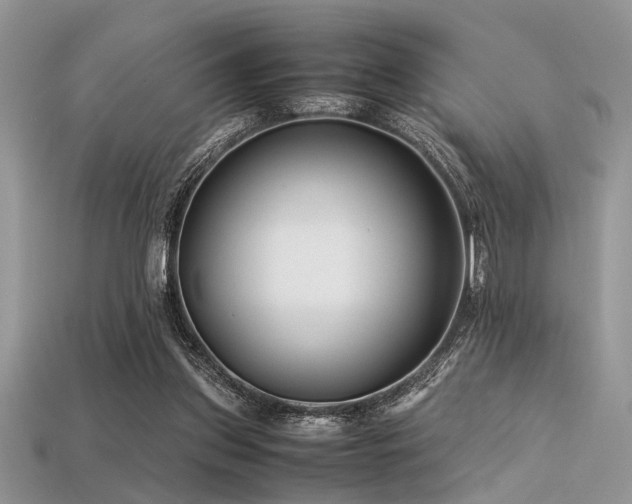X0000113540157200909181205