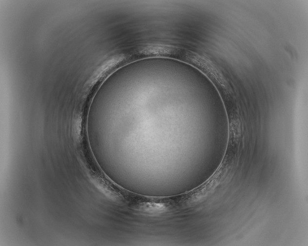X0000113540159200909181205