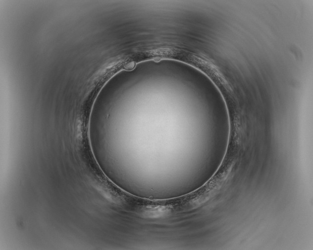 X0000113540161200909181205