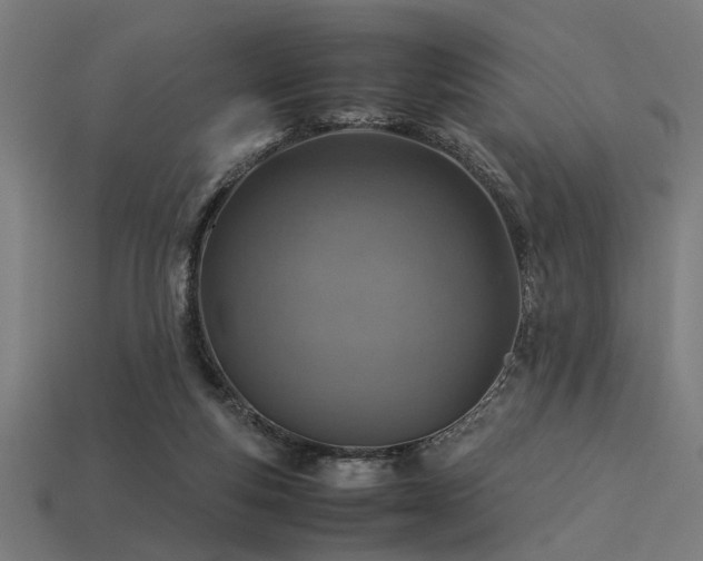 X0000113540163200909181205